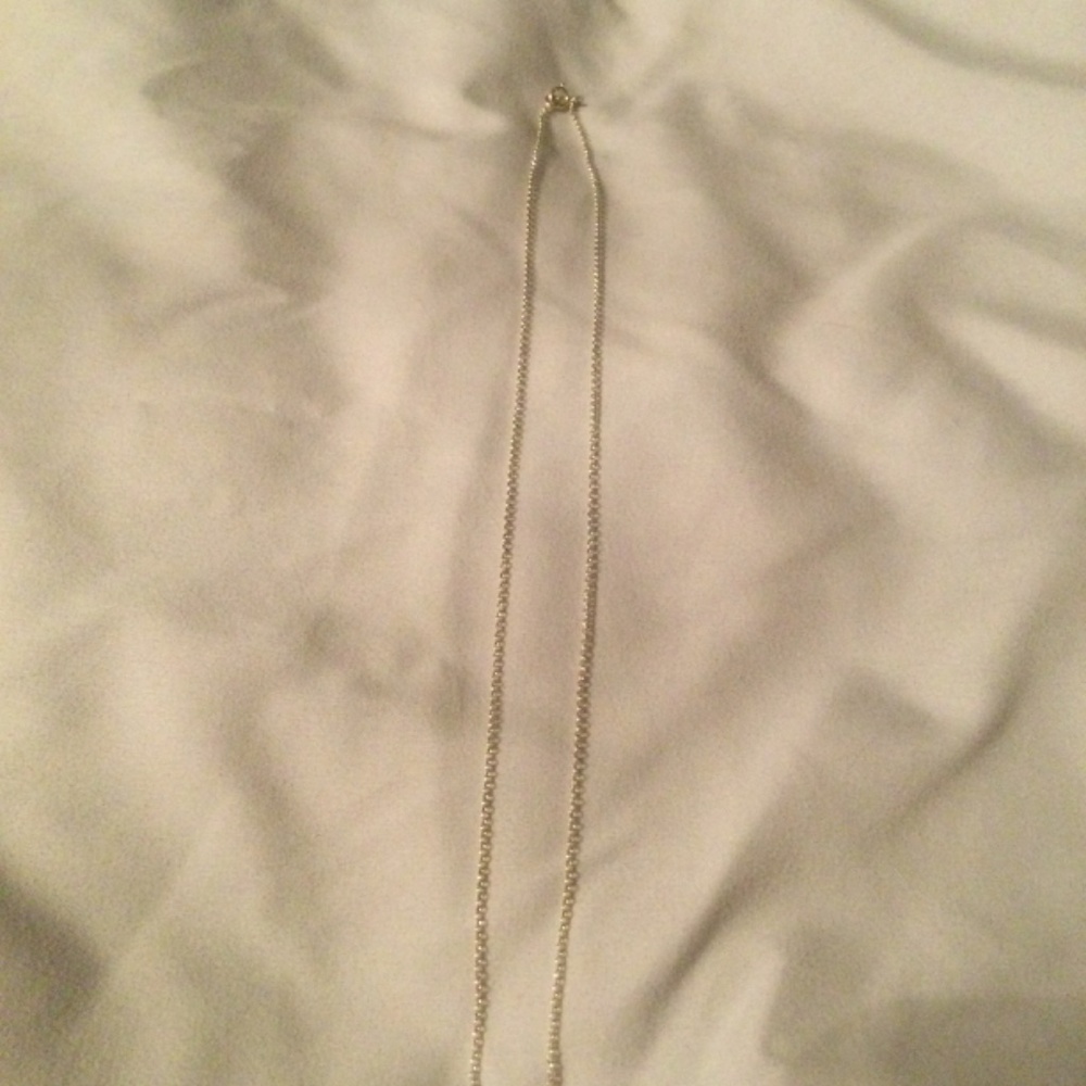 Dogeared Necklace - Picture 2 of 3